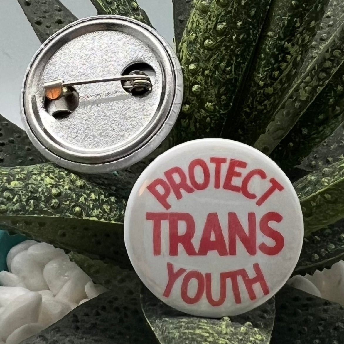Vintage Pride Pin 1.25”